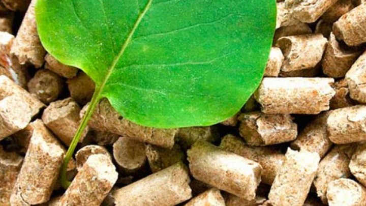 Predavanje o održivom razvoju i biogas postrojenjima 4. avgusta u Inženjerskoj komori Srbije