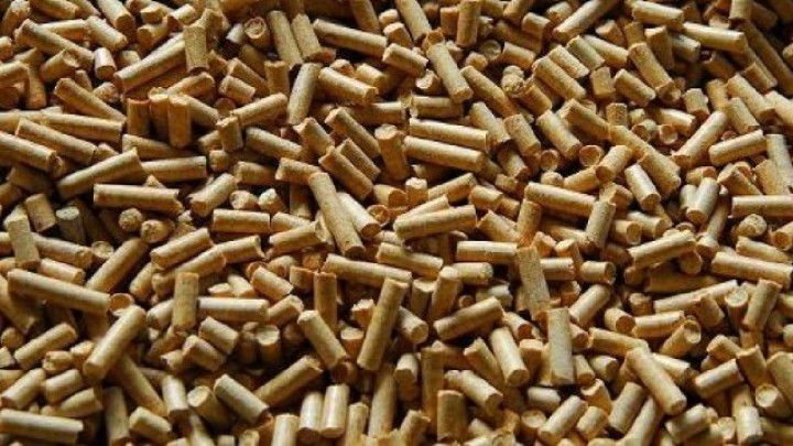 Fabrika peleta Jablanica EKO radila samo dva meseca - Kupljene neadekvatne mašine za proizvodnju