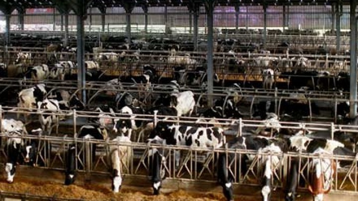 Amerikanci kupili hrvatsku aplikaciju za farme Farmeron