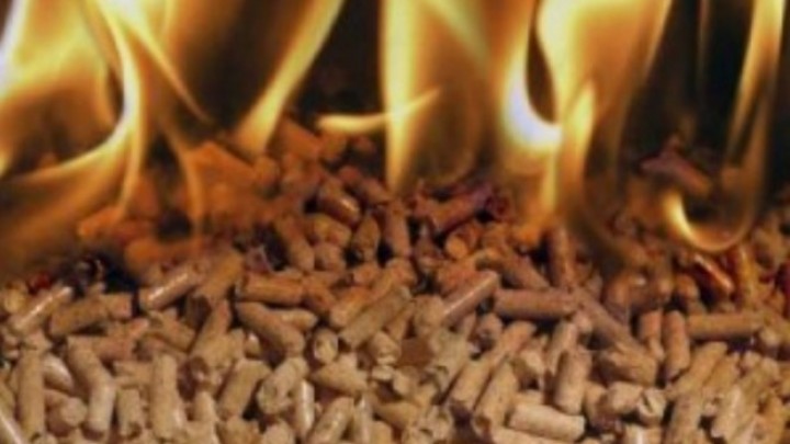 KORIŠĆENJE BIOMASE U ENERGETSKE SVRHE - PUT KA USPEŠNIJEM POSLOVANJU