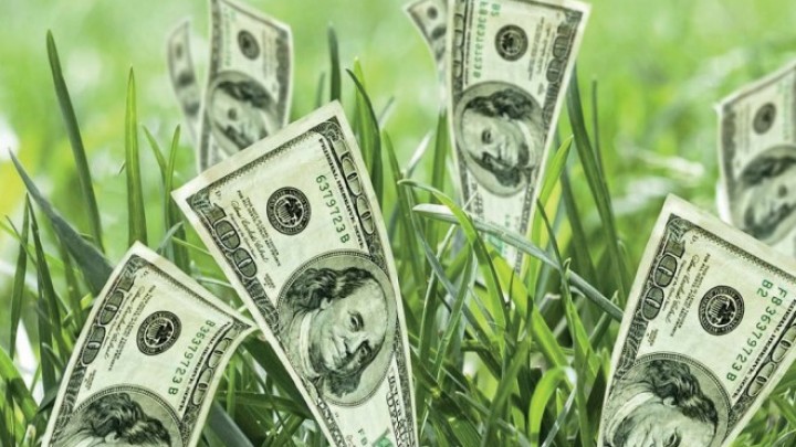 Šta predstavlja zeleno finansiranje i zašto je sve važnije?