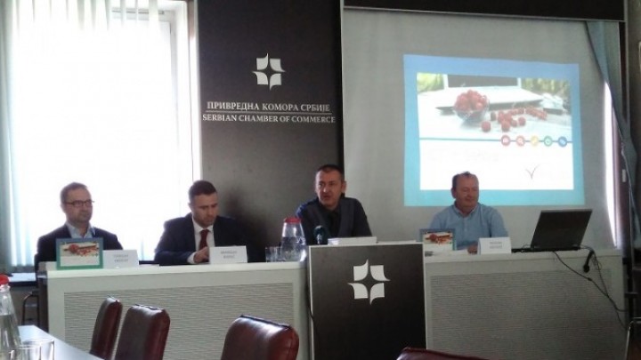 IZVOZ IKT USLUGA PREMAŠIO IZVOZ KUKURUZA