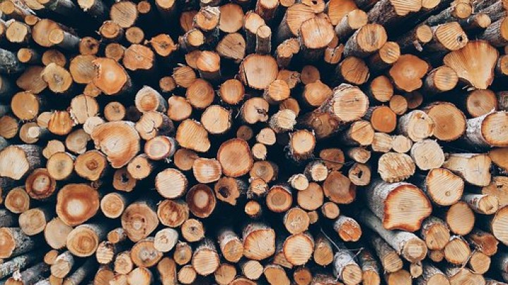 PROIZVODNJA DRVNE INDUSTRIJE SRBIJE U PORASTU - IZVOZ VEĆI ZA 12 ODSTO
