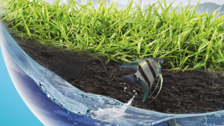 RENEXPO® Energy, Waste & Water