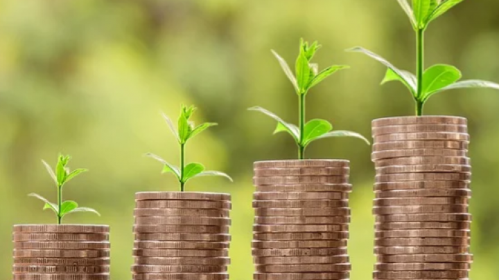 Prihod brzorastućih kompanija u Srbiji 19,5 mlrd EUR, izvoz 3,4 milijardi EUR
