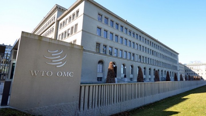 Ngozi Okondžo-Iveala, prva žena na čelu Svetske trgovinske organizacije