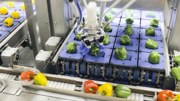 U SREDIŠTU AUTOMATIZACIJE INDUSTRIJE HRANE I PIĆA