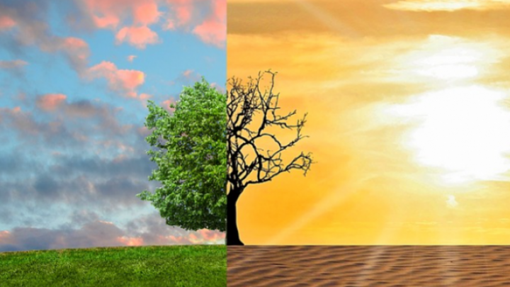 Francuska agencija za razvoj odobrila 50 miliona EUR za podršku Srbiji u sprovođenju klimatskih obaveza