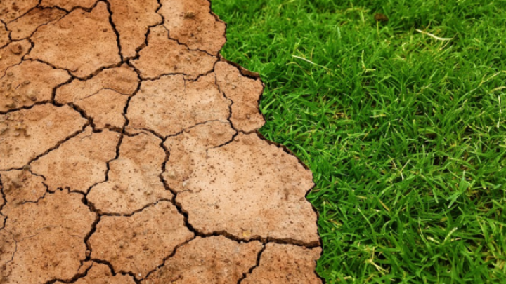Lokalne samouprave u Srbiji dobiće 35 miliona EUR za borbu sa izazovima klimatskih promena