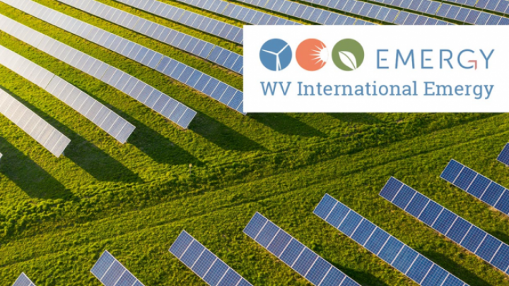 WV International Emergy gradi solarnu elektranu od 80 megavata u opštini Žabalj