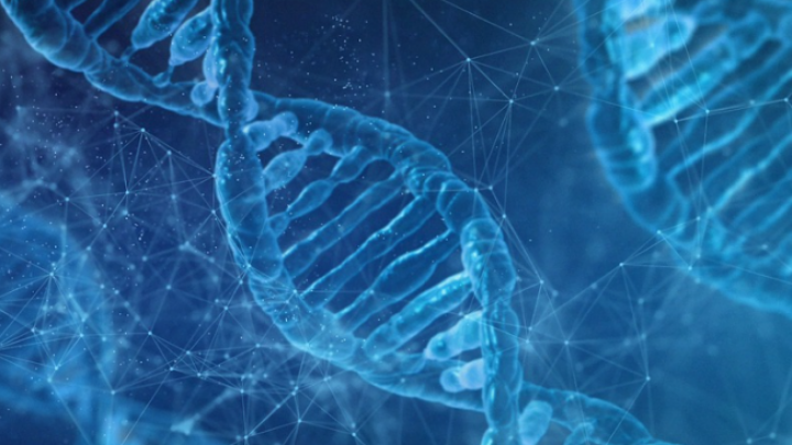 Srbija postaje centar za biotehnologiju i veštačku inteligenciju u zdravstvu