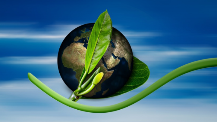 Predstavljen nacionalni energetski i klimatski plan Srbije do 2030.
