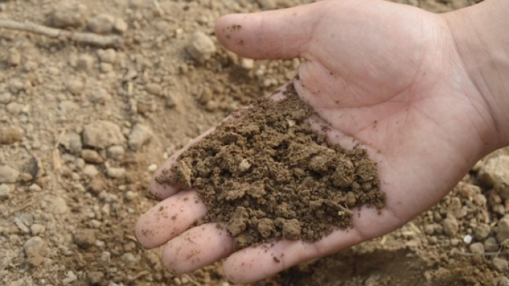 Mineralna đubriva u Srbiji 177% skuplja nego pre godinu dana