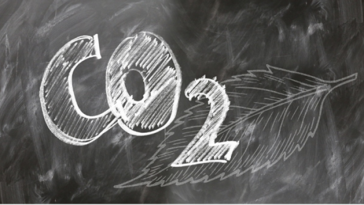 Pretvaranje CO2 u ugljene hidrate daje nadu da se mogu ublažiti klimatske promene