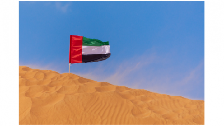 Ujedinjeni Arapski Emirati gledaju na svoje članstvo u BRIKS-u kao na priliku za razvoj trgovine