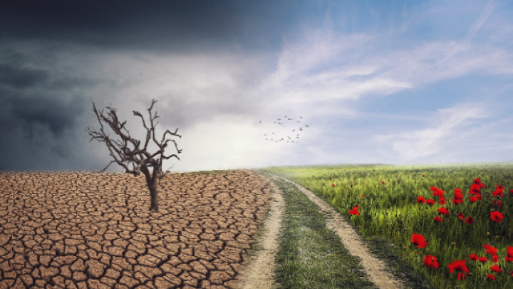 Usvojen Program prilagođavanja na izmenjene klimatske uslove