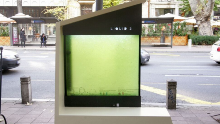 Drugi urbani foto-bioreaktor na ulicama Beograda