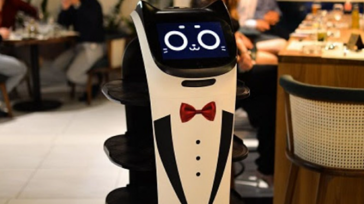 Dolazak prvih robota konobara u BiH