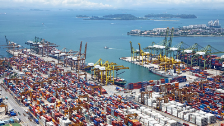 Svetska trgovinska organizacija (WTO) saopštila da predviđa oporavak svetske trgovine ove godine