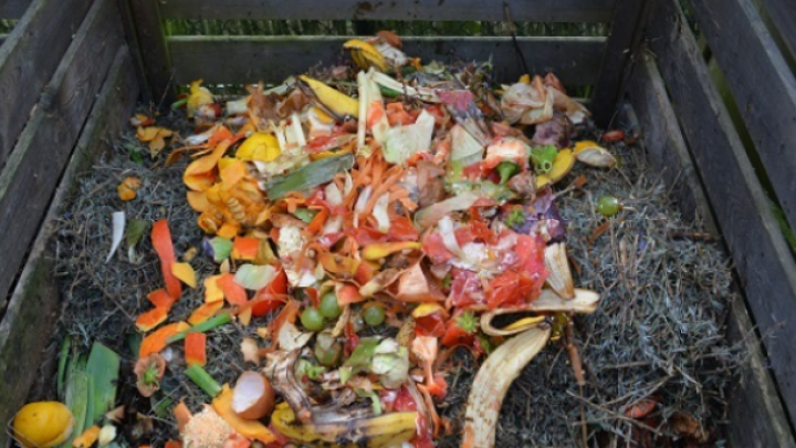 Tri beogradska ugostiteljska objekta za tri meseca 24 tone otpada od hrane pretvorili u biogas