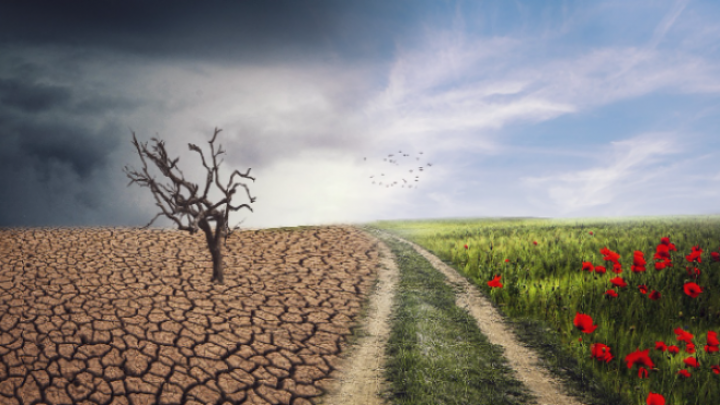 Šteta od klimatskih promena u Srbiji od 2000. godine skoro 7 milijardi EUR