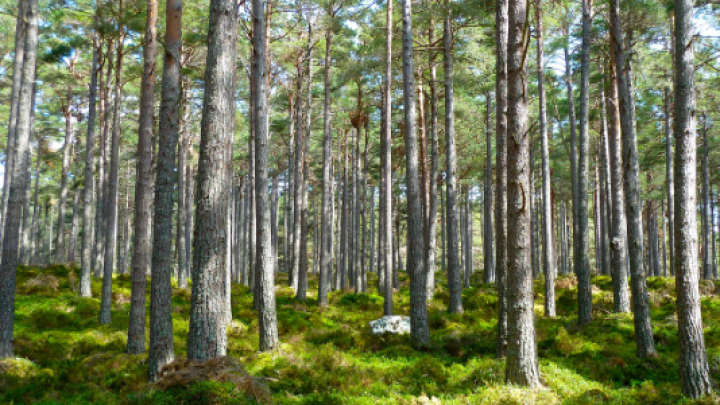 Srbija prva u regionu usvojila dvogodišnji izveštaj o transparentnosti u oblasti klimatskih promena