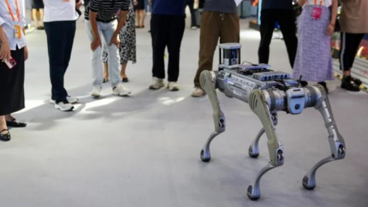 Psi-roboti psi patroliraju parkom u Pekingu
