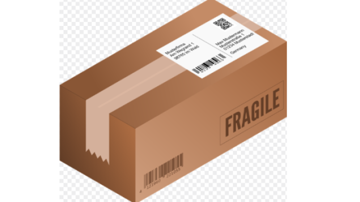 Moguća izgradnja logističkog centra Alibabe u Nišu