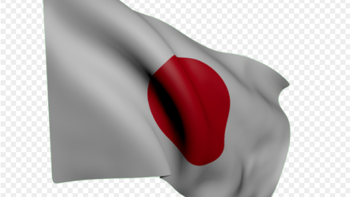 Sporazum o zaštiti investicija između Srbije i Japana mogao bi biti potpisan u septembru