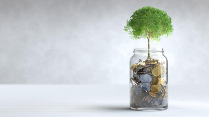 Finansijska mudrost: Kako zaštititi vrednost ušteđevine?