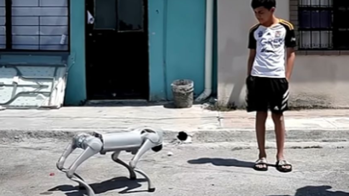 Meksički grad uz pomoć psa-robota želi da podigne svest o pravima životinja