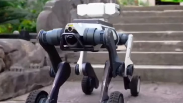 Pas robot patrolira kineskim gradom