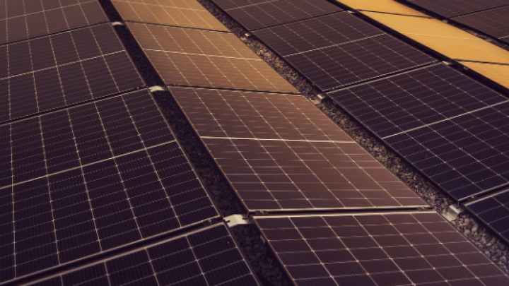 Fortis Energy nastavlja razvoj projekta solarnog kompleksa Noćaj u Sremskoj Mitrovici