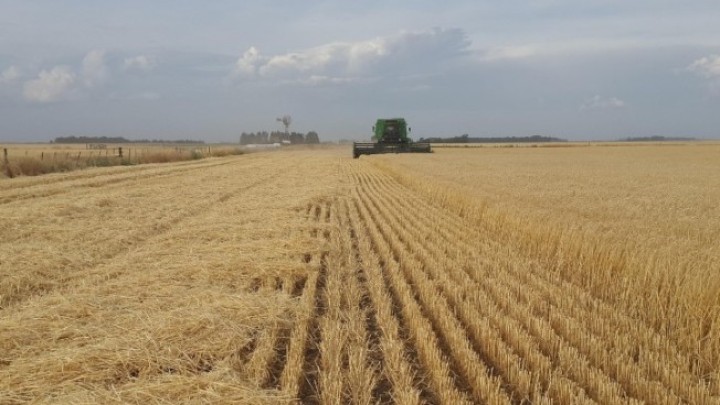 Italija drugi najveći dobavljač Srbije u agroindustriji